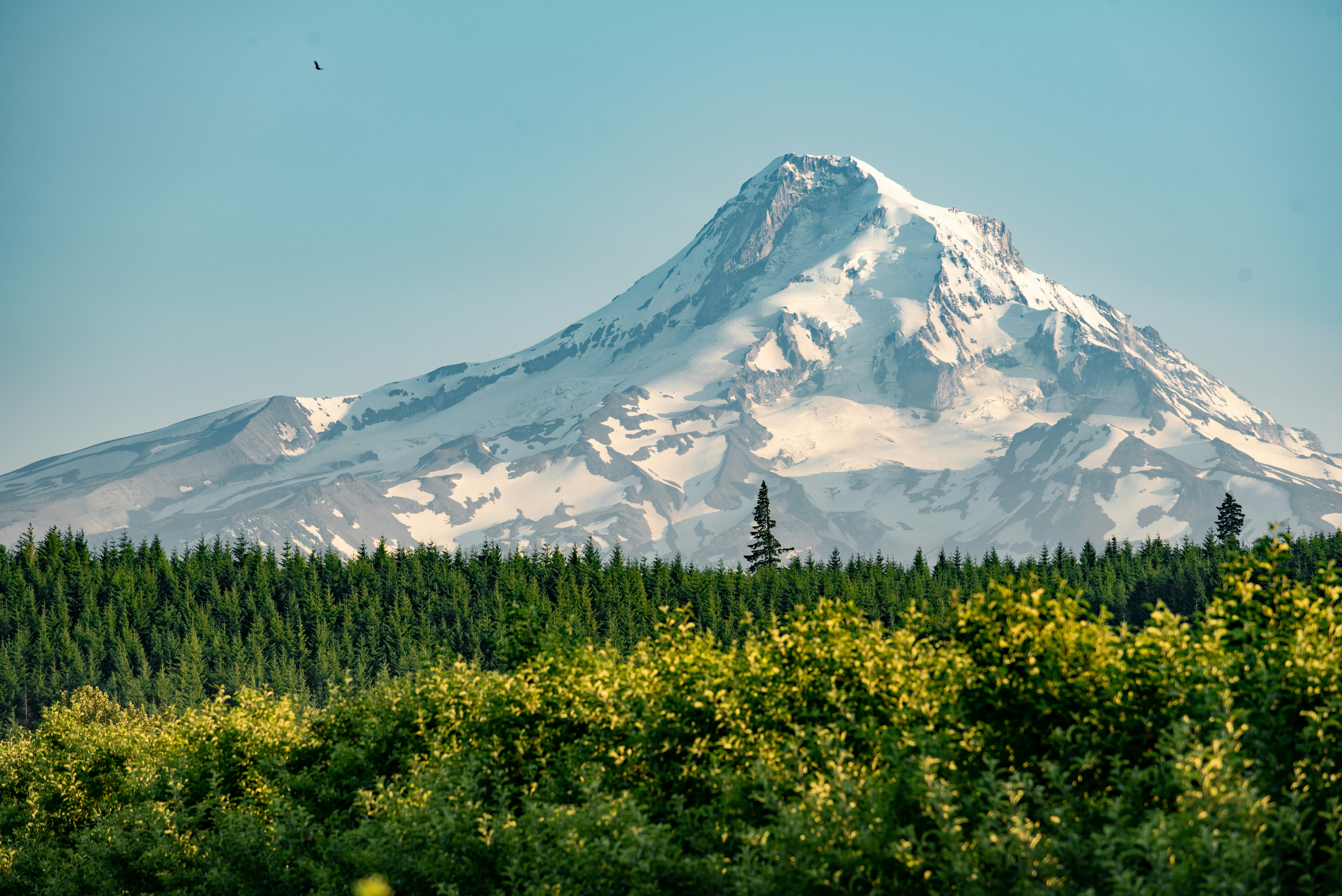 Mt Hood loop road in autumn